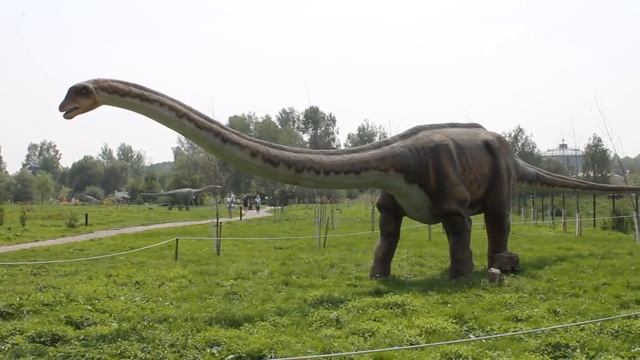 ДиноПарк г.Минск смотреть онлайн