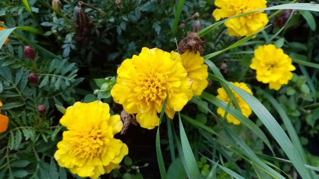 Осень 2022 #саратов#екб#иркутск