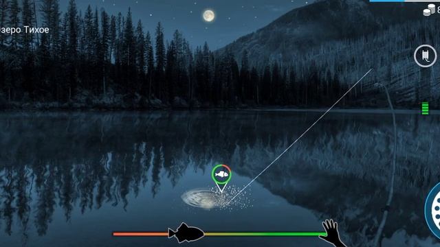 Ночная Рыбалка? Мир Вокруг Нас? Озеро Тихое?️?️ Расслабляющие Звуки Природы. смотреть онлайн