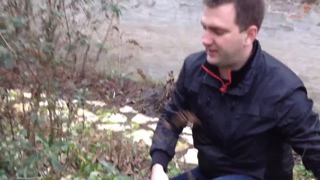 Buddleia - Nyári Orgona Ifjítása -  Metszése - Megyeri Szabolcs Kertészete