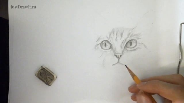 Как нарисовать Кошку поэтапно карандашом? Простое объяснение смотреть онлайн