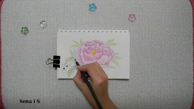 Рисуем пион цветными карандашами / процесс рисования / SpeedPaint (37) смотреть онлайн