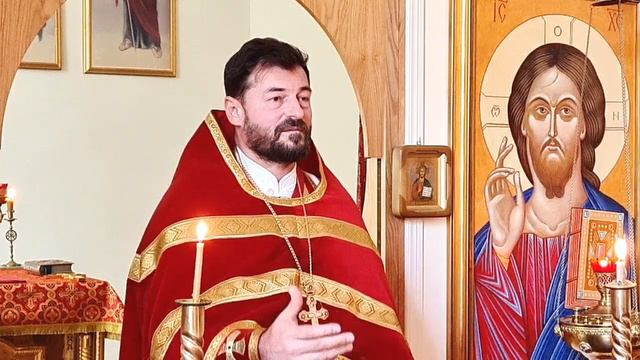 Дилемма этики: между свиньями и людьми