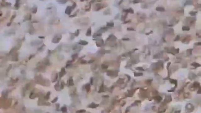 кровь под микроскопом . сделана с мощным технологичным микроскопом смотреть онлайн