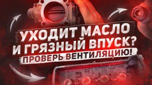 Профилактика системы вентиляции картерных газов Positive Crakcase Ventilation