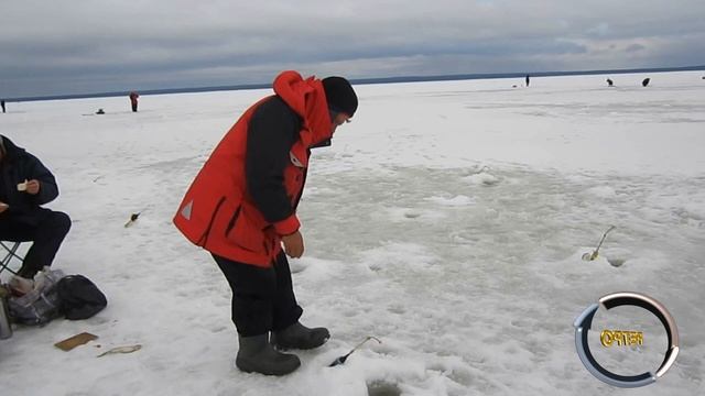 ICEFISHING. Зимняя рыбалка на 51 км. Финский залив, северный берег.