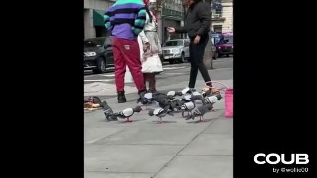 ПОДБОРКА СМЕШНЫХ ПРИКОЛОВ С ЖИВОТНЫМИ. КОРОТКИЕ ВИДЕОНАРЕЗКИ #Shorts (#10) смотреть онлайн