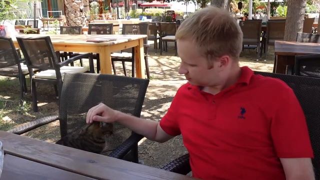 ГЁДЖЕК - ШИКАРНЫЙ ТУРЕЦКИЙ КУРОРТ. Что посмотреть в Геджеке? Курорты Турции / Göcek смотреть онлайн