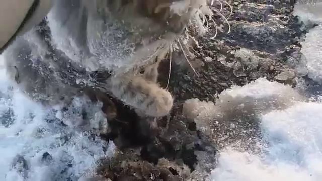 Спасение примерзшей кошки смотреть онлайн