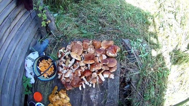 Оладьи из Кабачков с фаршем. Тихая Охота. смотреть онлайн