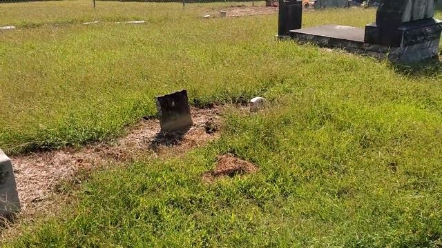 Who killed Sam Starr? смотреть онлайн