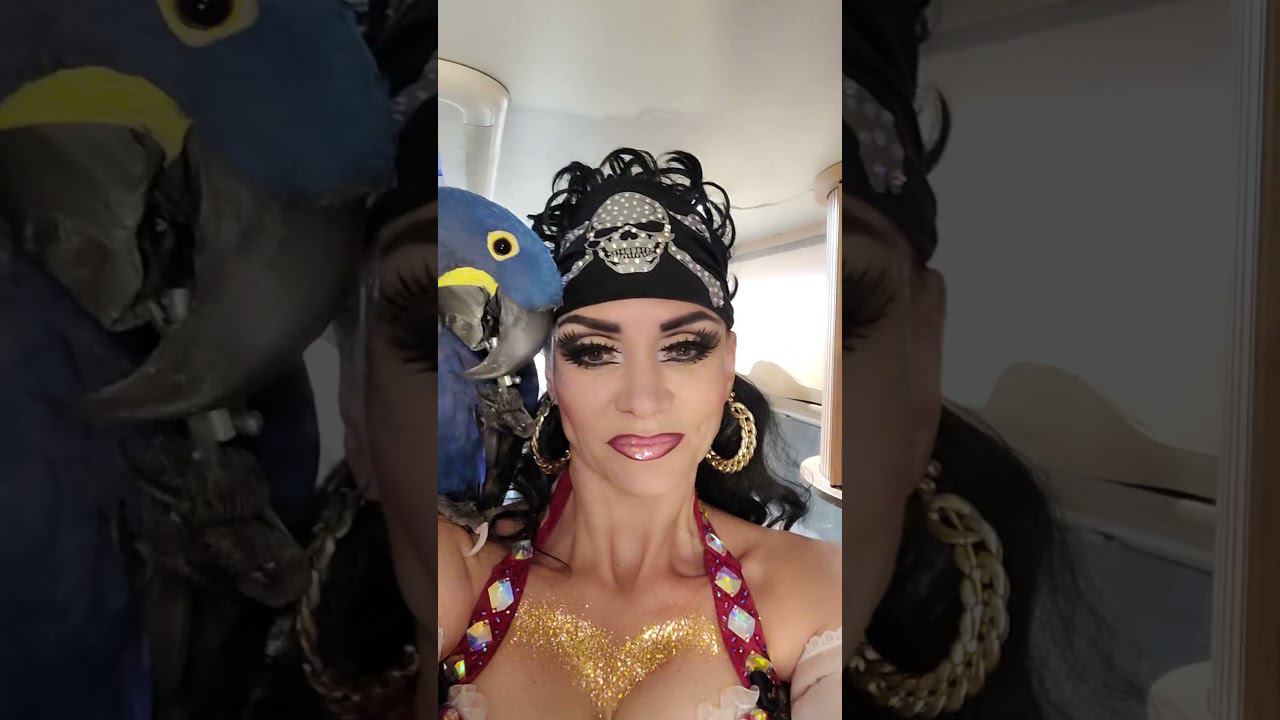 Мы готовы к шоу!  #артемьева #майяартемьева #гиацинтовыйара #попугаи #попугайара #шоу