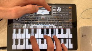 org 2021 pro lezginka