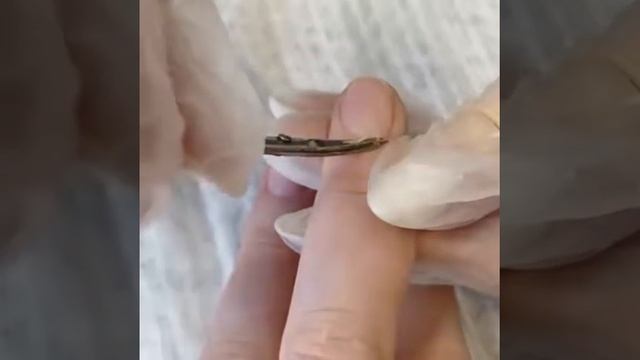 Обучение маникюру и педикюру Москва смотреть онлайн