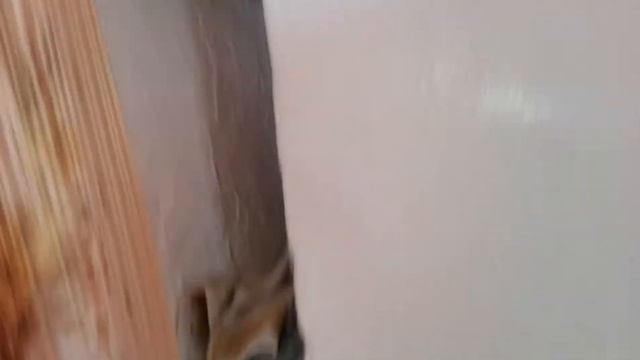 Как делали печку в прошлом веке.Кирпич был другой.... смотреть онлайн