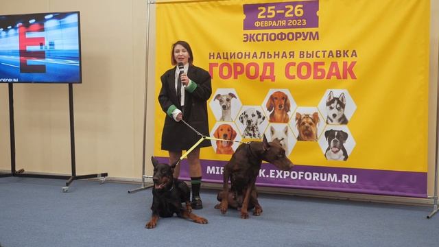 Выставка «Город собак. Зима 2023» в Экспофоруме (Санкт-Петербург) смотреть онлайн