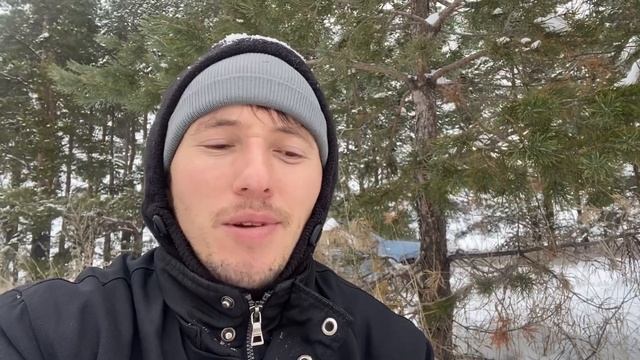 Сбор шишек. Для чего собирают шишки? смотреть онлайн
