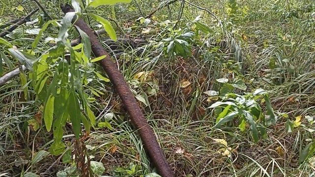 В перекопанной деревне на металлокопе что можно найти. И какие бонусы нас порадуют. #металл #ютуб смотреть онлайн