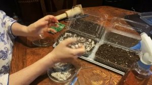 КАК СДЕЛАТЬ ПОСЕВ ПЕТРУШКИ НА РАССАДУ!