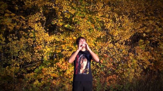 КИНО - Красно-Жёлтые Дни (instrumental cover) смотреть онлайн