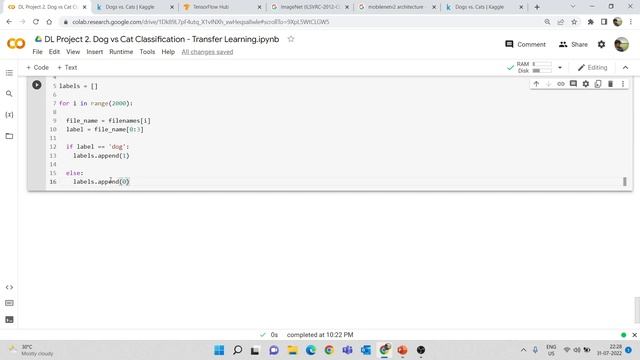 DL Project 3. Dog vs Cat Classification using Transfer Learning | Deep Learning Projects in Python смотреть онлайн