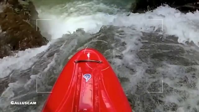 Камера на голове курицы смотреть онлайн