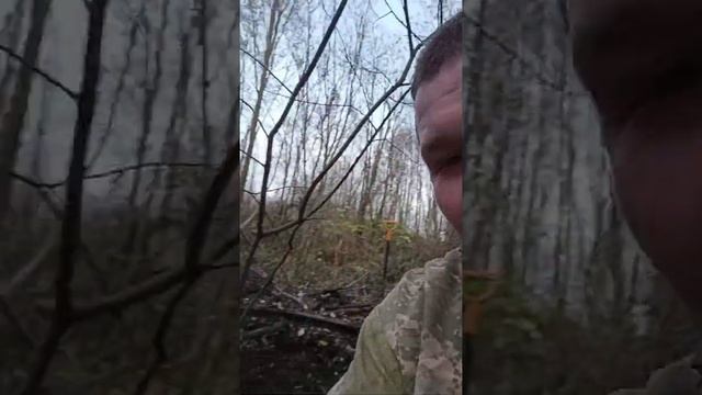 кто скажет что это говно или какойто гриб склиский смотреть онлайн