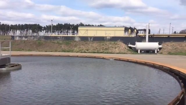 Холки Комос Найхаус смотреть онлайн