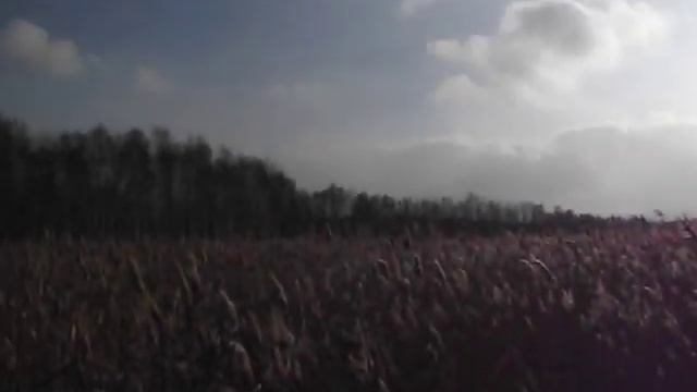 МАЛЫЙ ШАРТАШ. СТОЯНКИ ДРЕВНЕГО ЧЕЛОВЕКА.. Видеоэкскурсия. Екатеринбург и его окрестности смотреть онлайн