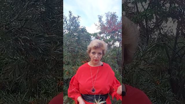 Наследники первой очереди. Кто они? смотреть онлайн
