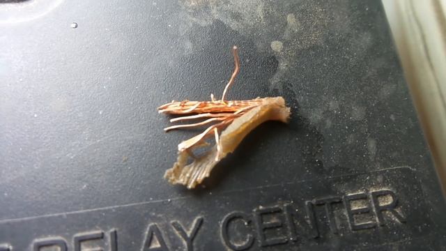 Массы Лачетти Болезнь Трёх Масс смотреть онлайн