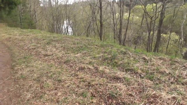 У ЛЕНЫ ОКОТИЛАСЬ КОШКА И КАК МЫ ЕЗДИЛИ В РЕЧНОЙ К ДИМЕ МУСИХИНУ В СВОЙ ЕДИНСТВЕННЫЙ ВЫХОДНОЙ! смотреть онлайн