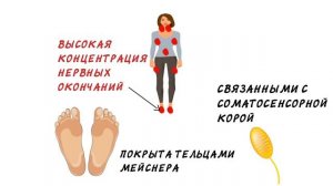 Почему люди боятся щекотки?