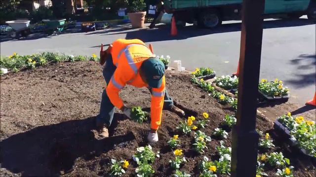 Fall Flower Install w bulbs YouTube смотреть онлайн