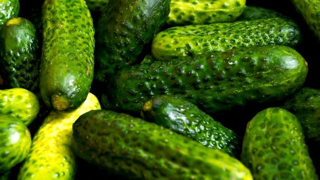 2 капли и огурцов нарастает тонна смотреть онлайн