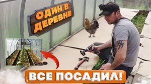 ПОСАДКИ  В ТЕПЛИЦЕ  ПОД КАРТОН  ! [Жизнь в деревне]