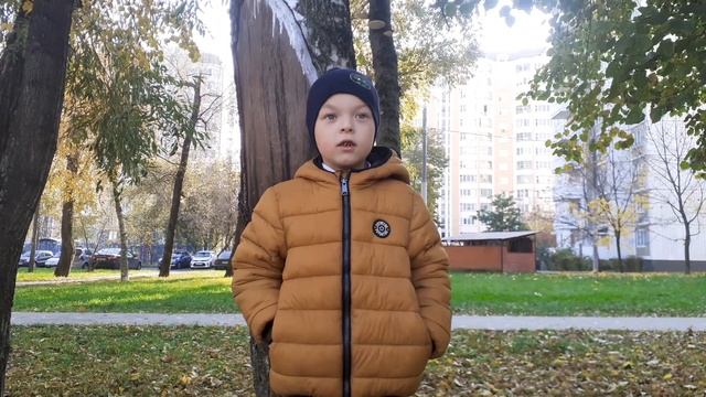 Откуда взялось название Кенгуру? смотреть онлайн