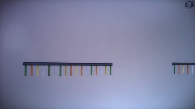 Від ДНК до білків [yourgenome] смотреть онлайн