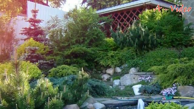 ?Идеи для сада: Альпийские горки, рокарии, садовые пруды и водопады / Best Garden Ideas / A - Video смотреть онлайн