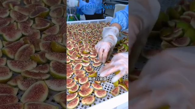 hello river brand fig fruit dryer heat pump dryer fruit drying room смотреть онлайн