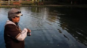 Как ловить форель на платнике? Мастер класс от японского специалиста!