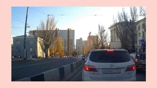 Ростов-на-Дону: так переходят дорогу "четвероногие пешеходы"! смотреть онлайн