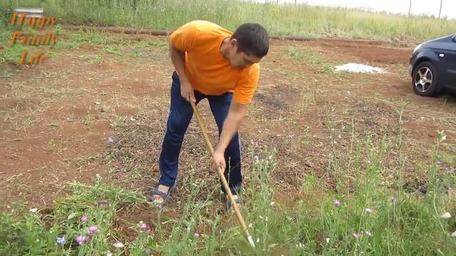 Vlog. Борьба с сорняками продолжается. Дачный участок 14 день. Safina Family смотреть онлайн