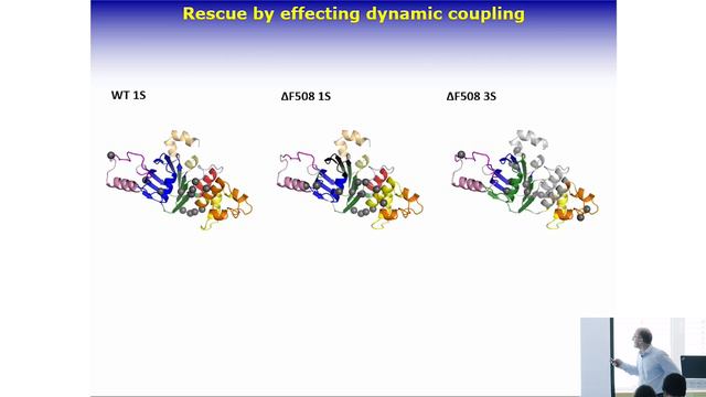 Tamás Hegedűs - Characterizing the chloride translocation pathway in the CFTR channel смотреть онлайн