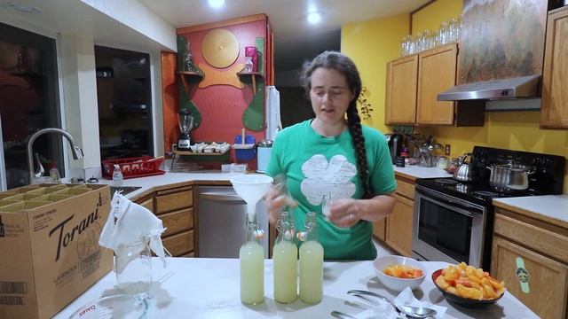 Carrot Clementine Kvass - A NATURALLY FERMENTED Soda смотреть онлайн