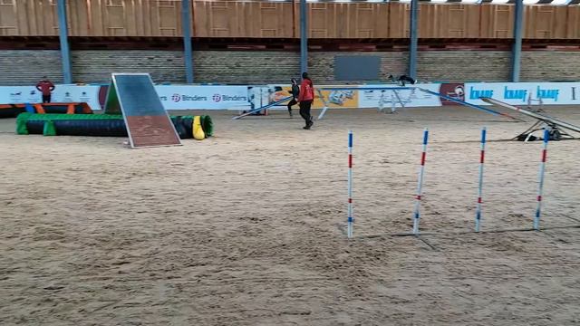 Agility, Riga, 2018, Day 1, A1(2)