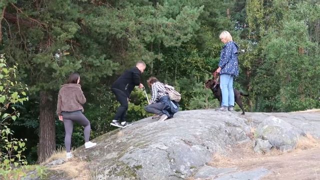 ДВА ДНЯ В ПРИОЗЕРСКЕ: что посмотреть, где жить и есть смотреть онлайн