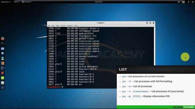 008 Разбираемся с процессами Kali Linux | Кали Линукс смотреть онлайн