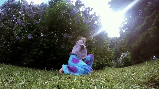 Пикник в Сиреневом саду? смотреть онлайн