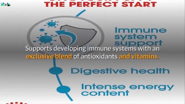 Best Dog Food For Puppy In 2020 | Top 10 Best Puppy Food.